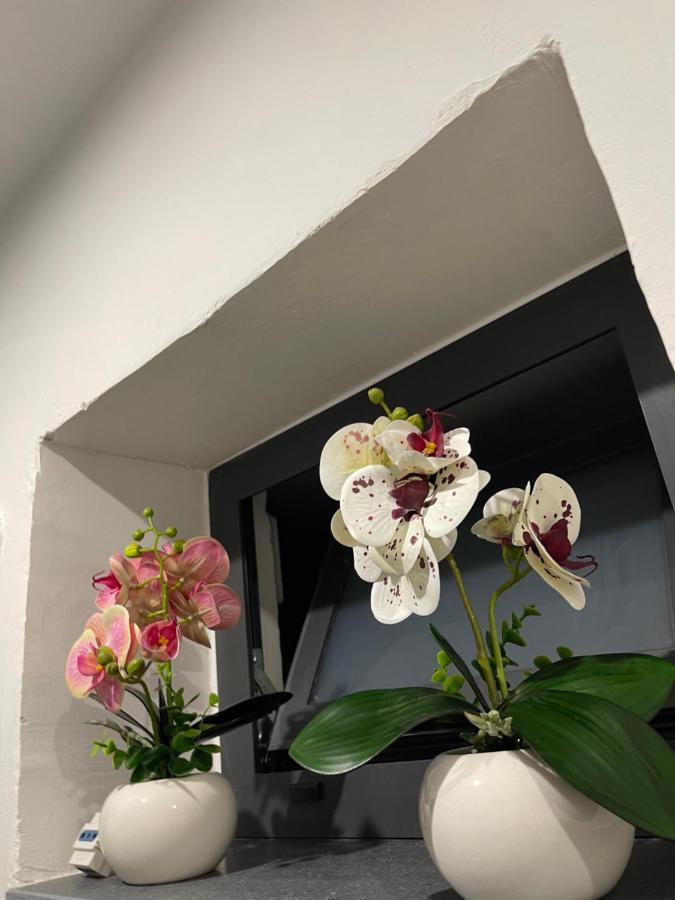 卡塔尼亚House Soleil公寓 外观 照片